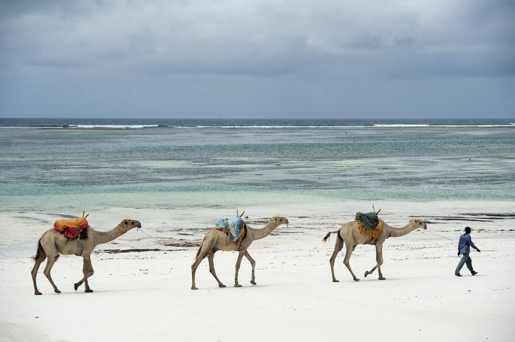 Diani House Hotel Diani Beach Luaran gambar